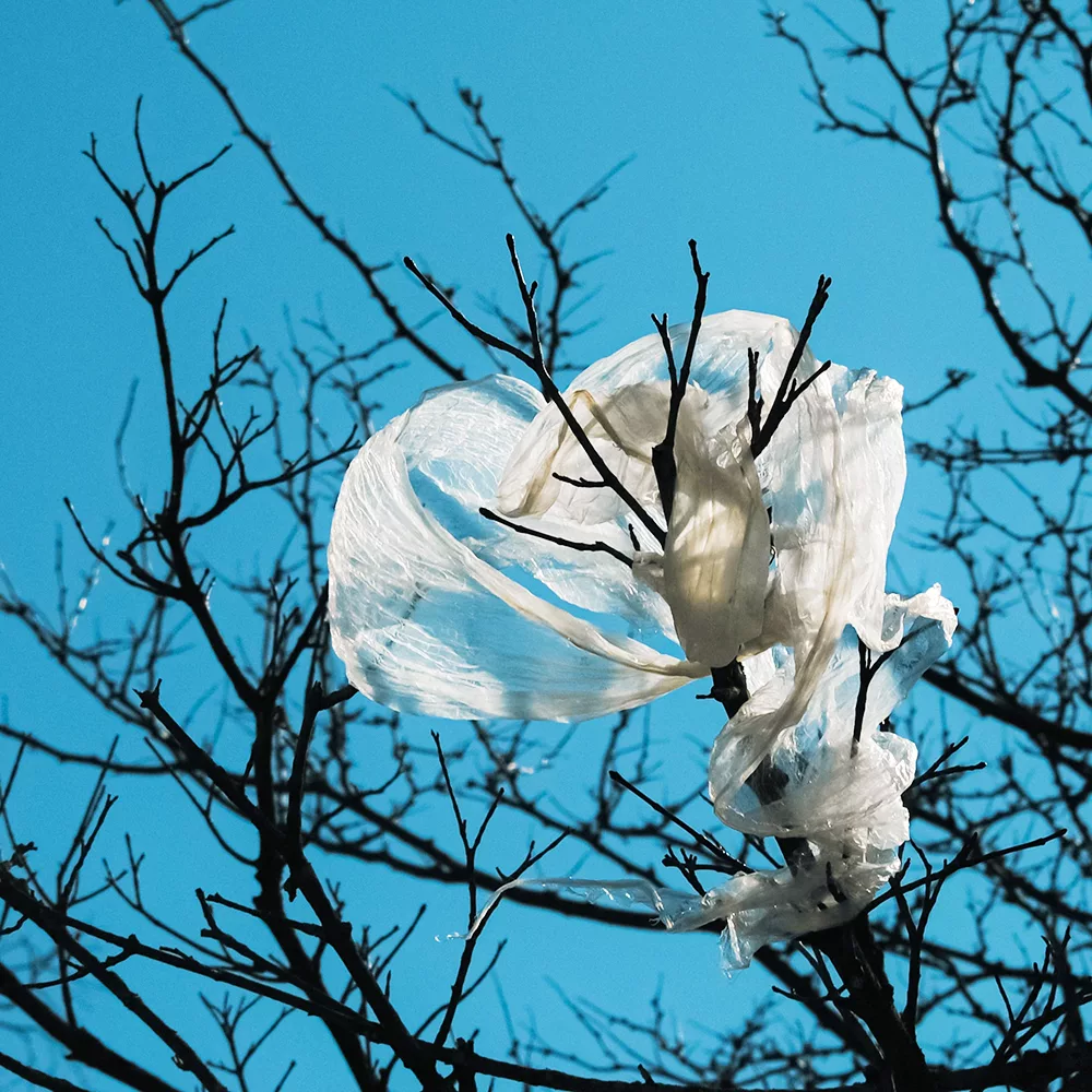 plastic-bags-banned-from-dutch-shops