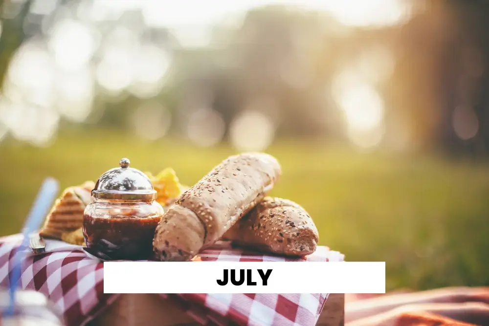 traditional picnic with fresh bread