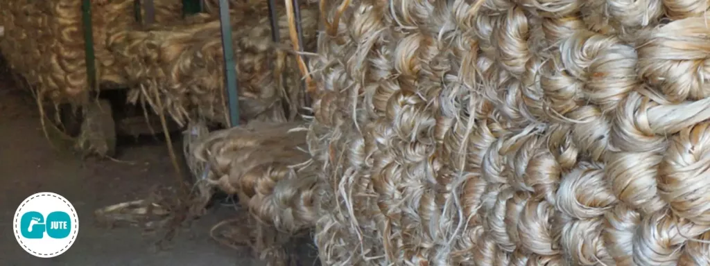 golden fibre (jute) stacked high in warehouse in India