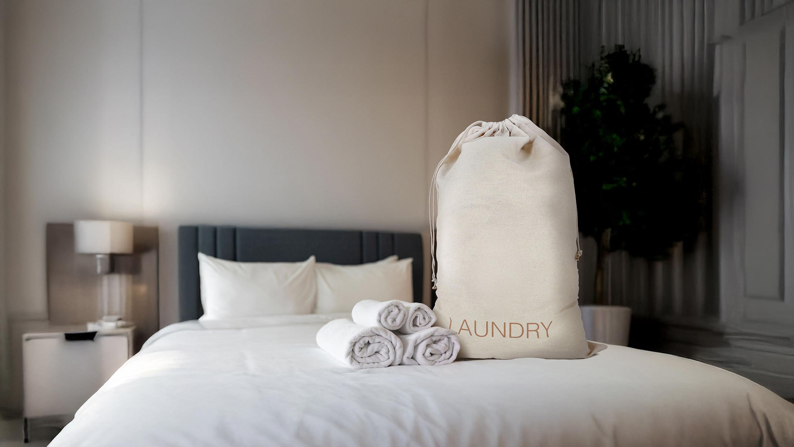 [Product gallery image 2]